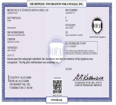 Beso Medieval's It Started With A Kiss